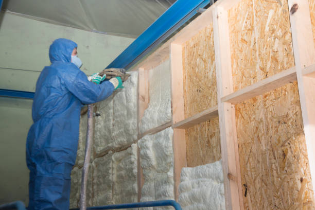 Best Professional Insulation Contractor  in Nesconset, NY